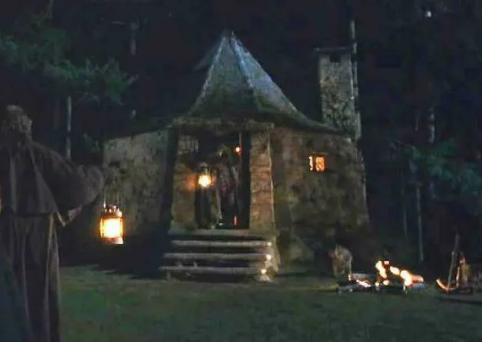 In Harry Potter And The Sorcerer's Stone (2001), As Punishment For Going Out At Night And Hanging Out With Hagrid, The Kids Have To Go Out At Night And Hang Out With Hagrid