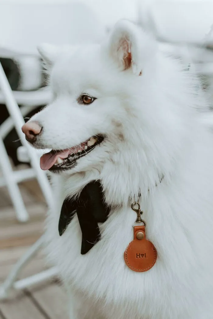 I Can’t Believe This Guest Wore White To My Wedding