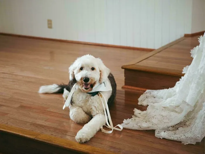 This Guest Also Wore White To My Wedding, And Stepped All Over My Dress &amp; Didn’t Even Apologize!!
