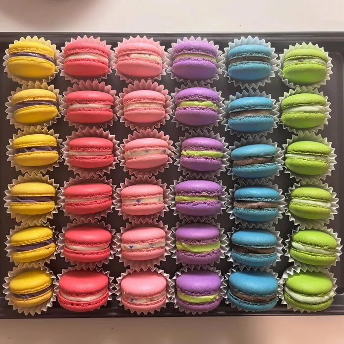 Broke College Student Macarons