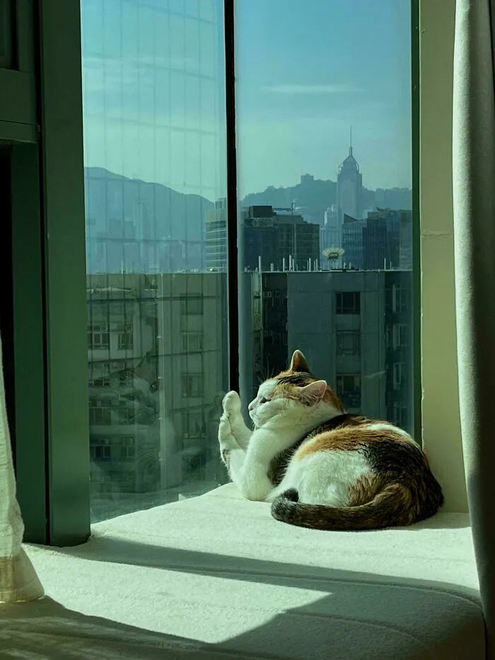 The Warm Window