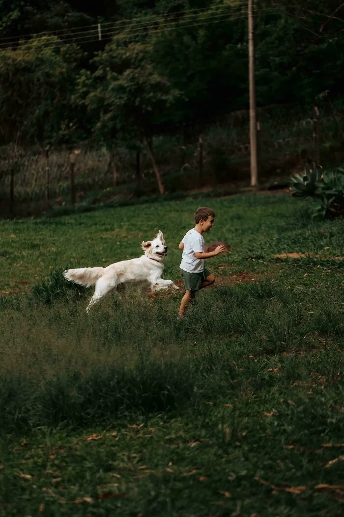 Boy And A Dog