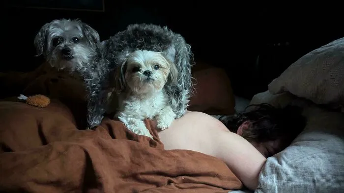 Accidental Caravaggio