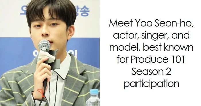 Yoo Seon-ho: Bio And Career Highlights