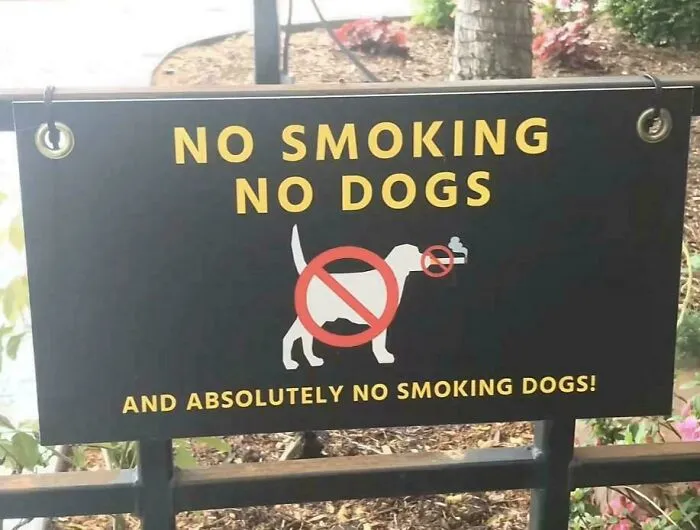 What About Drinking Dogs?