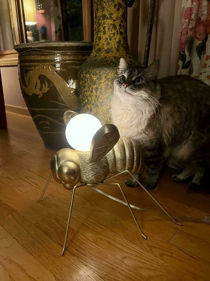 I’ve Had A Really Good Run The Past Week At The Thrift Shops. Found This Large Gold Bee Lamp Tonight. Wonderfully Weird, It Could Not Be Left Behind