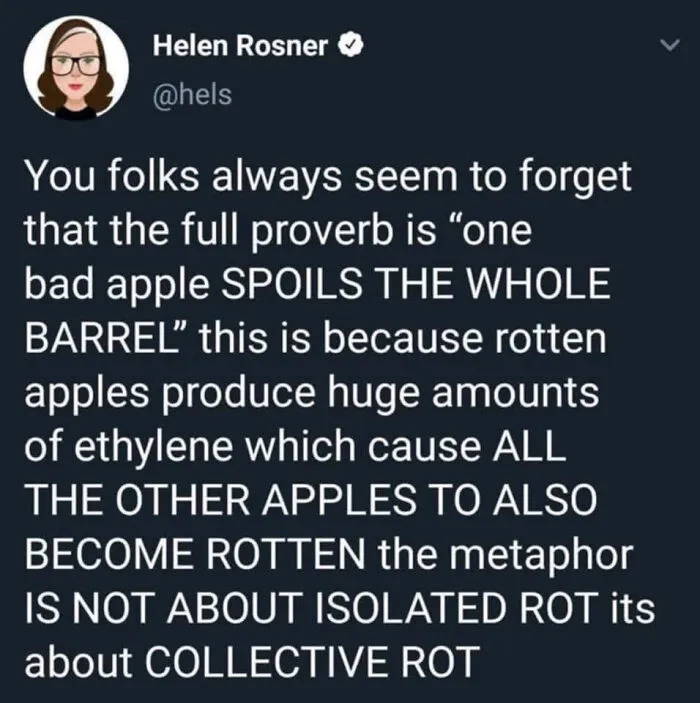 Tweet by Helen Rosner explaining the proverb about one bad apple spoiling the whole barrel, related to collective rot.