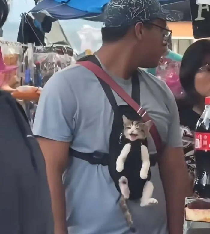 Man wearing a pet carrier with a relaxed cat inside, showcasing a sweet human-animal bond in a busy market setting.