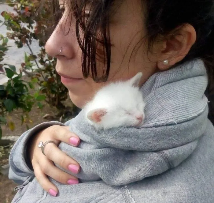 Woman gently holding a sleeping white kitten wrapped in her grey hoodie, showcasing a sweet human-animal bond.