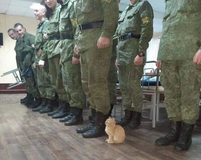 47 Times Humans And Animals Formed The Most Unexpectedly Beautiful Bonds (New Pics)