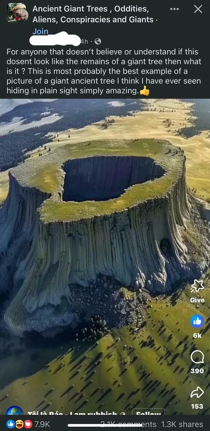 Aerial view of a geological formation mistaken for a giant ancient tree, illustrating geography fails on the internet.