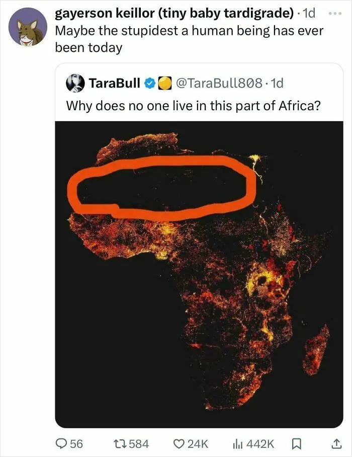 Twitter post questioning population in Africa with a night map showing dense lights and a large orange circle marking an area.