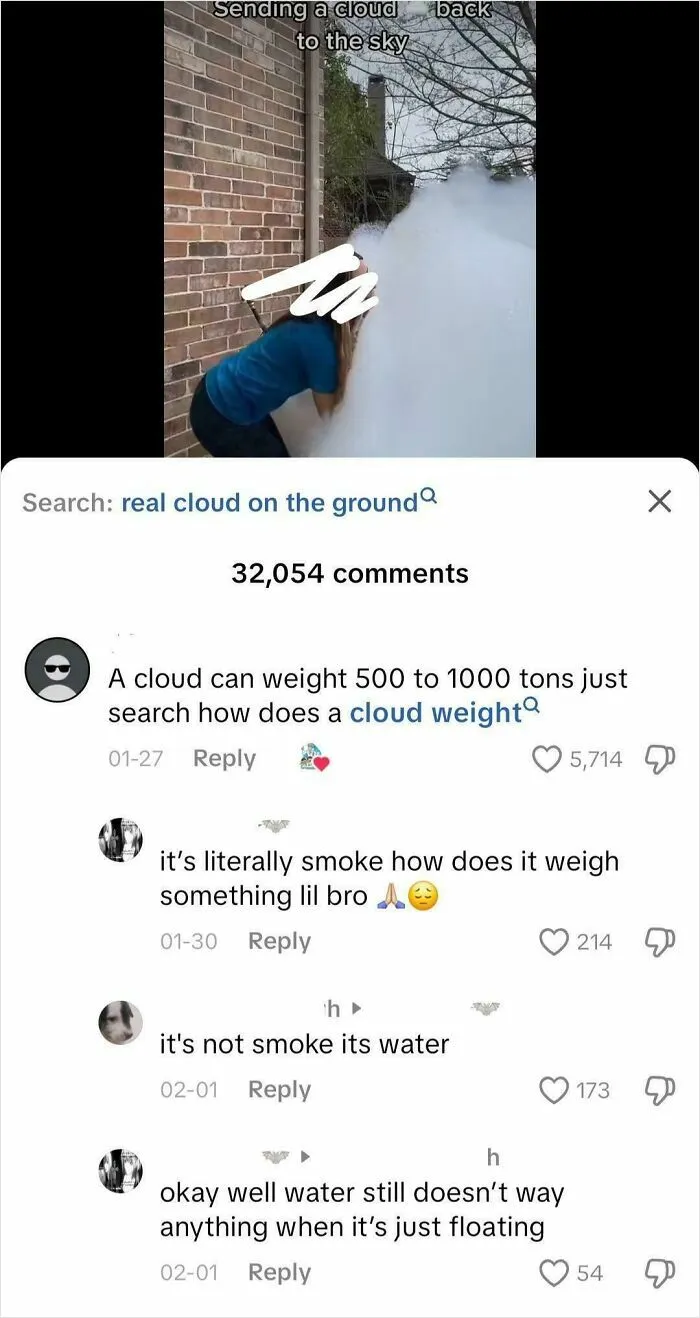 Person leaning into a large cloud of smoke outside with comments debating cloud weight and geography misconceptions