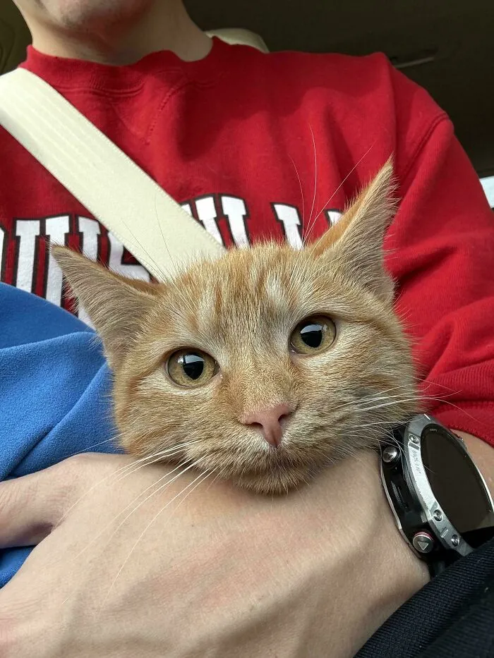 Came Back From The Vet With Some News. Frank Is A Girl