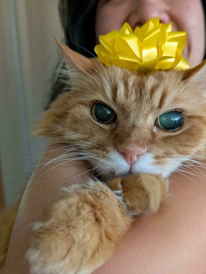 Happy 22nd Birthday, You Old Fart