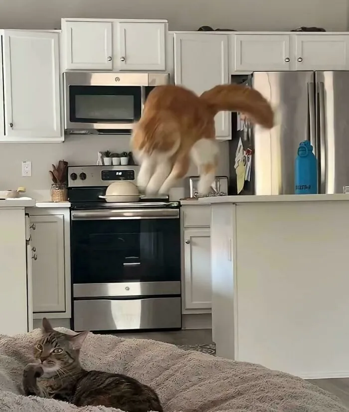 She Has No Idea