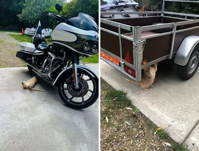She Was A Mechanic In A Previous Life