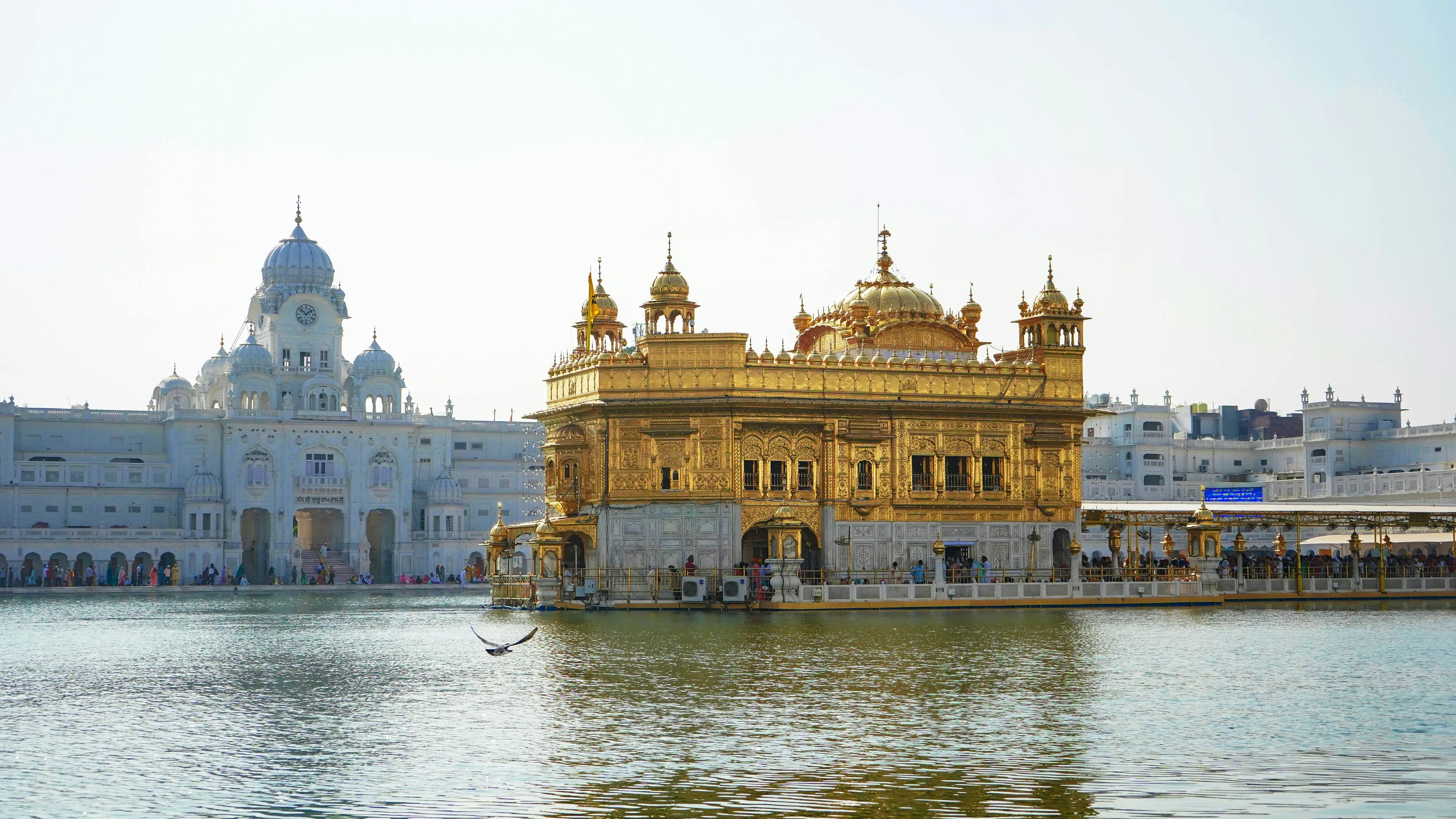 Golden Temple in India reflecting on water with white buildings and visitors around the historic religious site.