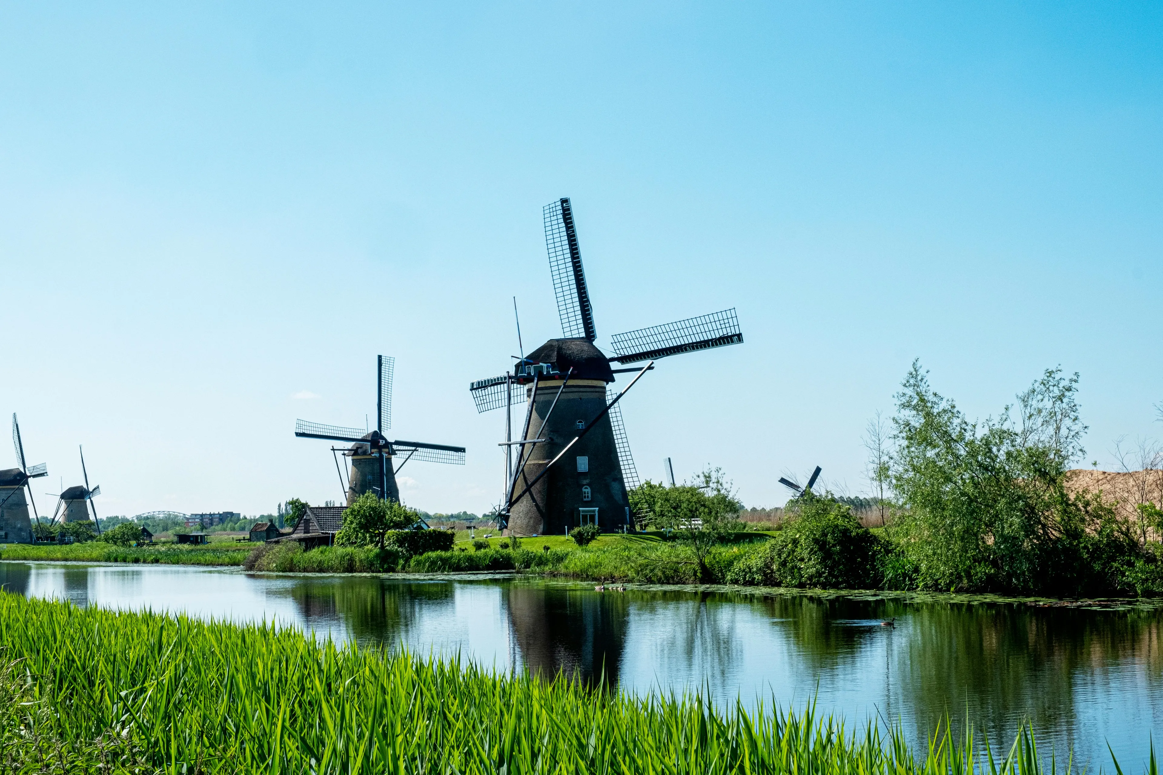 Traditional windmills reflecting in calm water surrounded by green grass on a sunny day in Northwestern Europe.