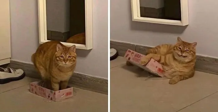 If I Fits