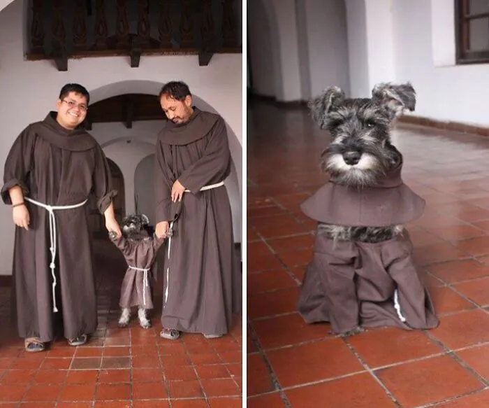 This Facebook Page Shares The Most Ridiculously Dog Photos To Help You De-Stress (40 Pics)