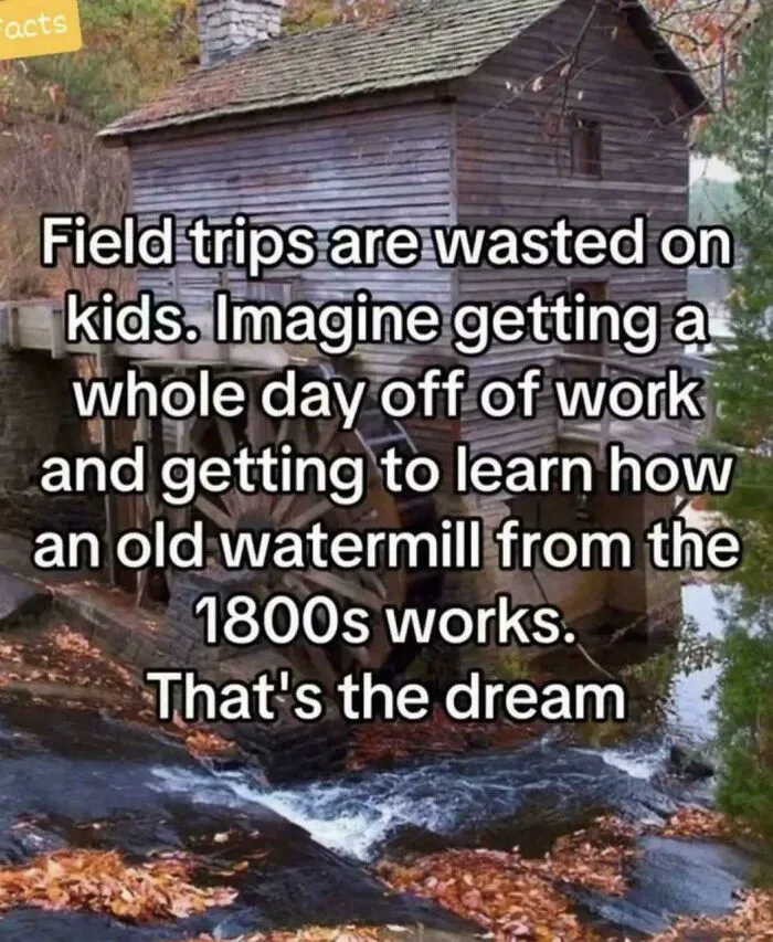 Adult Field Trips Should Be A Thing