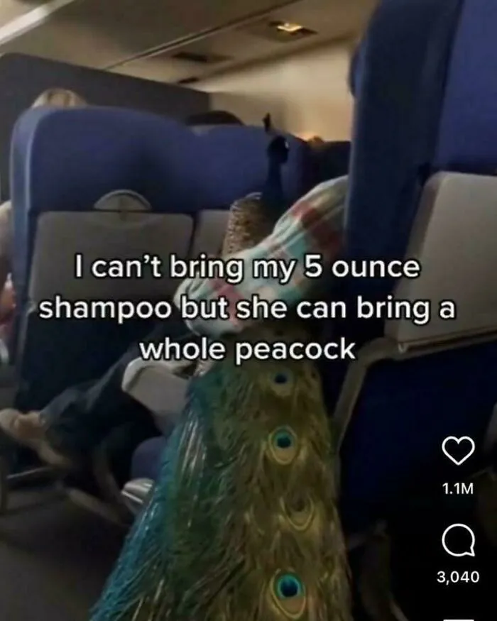 Peacock