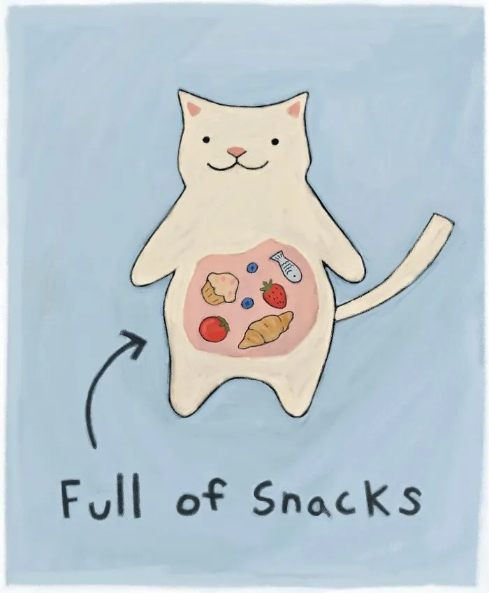 If You Love Cats And Gentle Humor, These 65 Illustrations Are For You