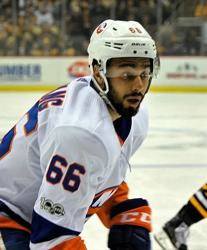 Ice Hockey Player Joshua Ho-Sang, 30