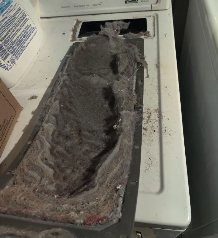 Roommate Complained The Dryer "Takes Twice As Long Now"