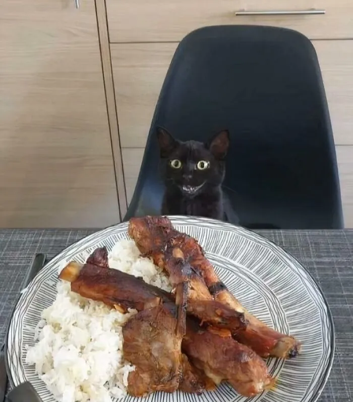 Void Is Pleased