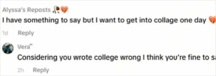 50 Times People Saw Such Ridiculous And Unhinged TikTok Comments: They Just Had To Share