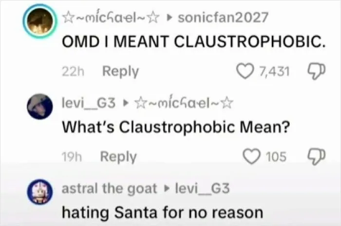 50 Times People Saw Such Ridiculous And Unhinged TikTok Comments: They Just Had To Share