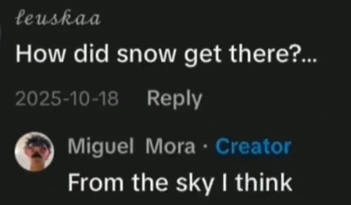 50 Times People Saw Such Ridiculous And Unhinged TikTok Comments: They Just Had To Share