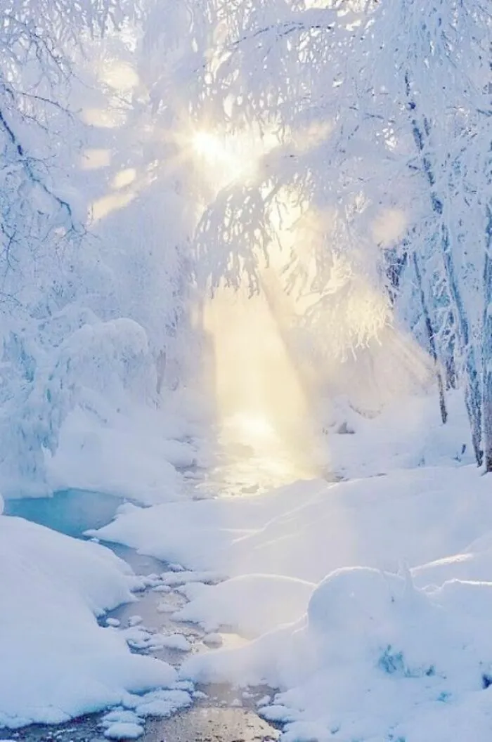 Very Beautiful