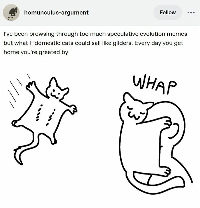 Gliding Kitties