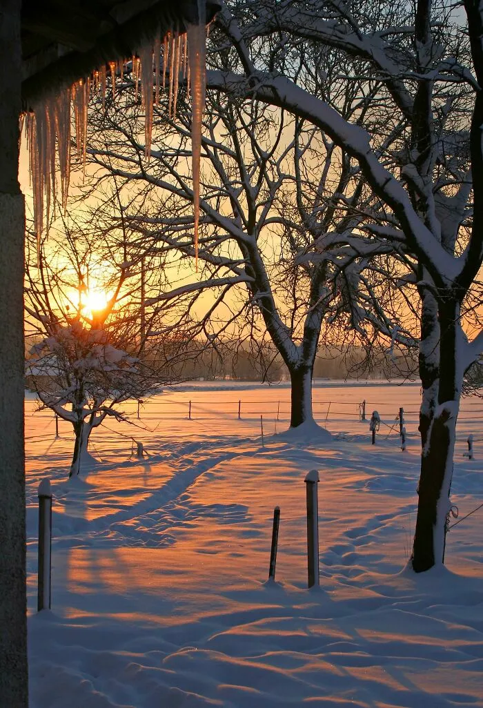 Snow Sunrise!