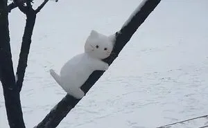 40 Cozy Images Of This Year’s Winter To Enjoy Without Stepping Into The Cold