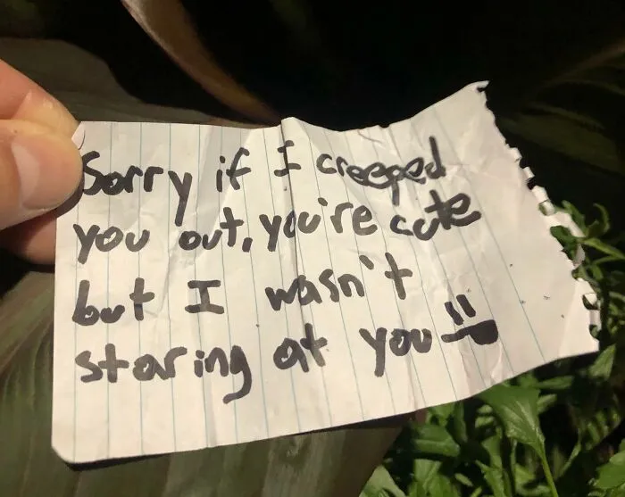 Found On The Ground While On A Walk With A Friend