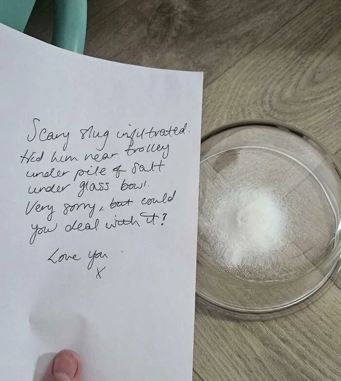 Wife Is Terrified Of Slugs, Woke To This Note