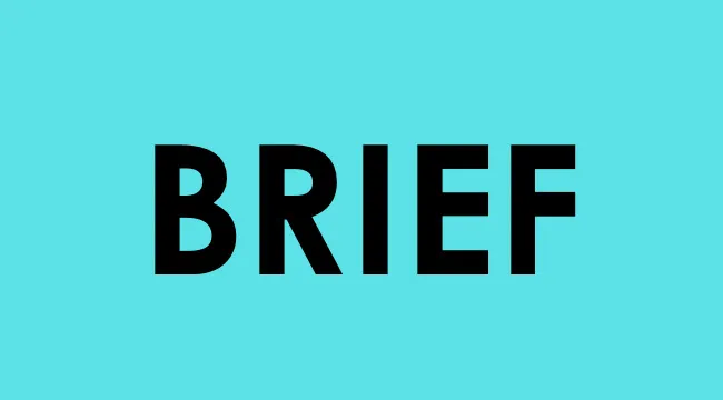 The word brief displayed in bold black text on a turquoise background related to school questions language.