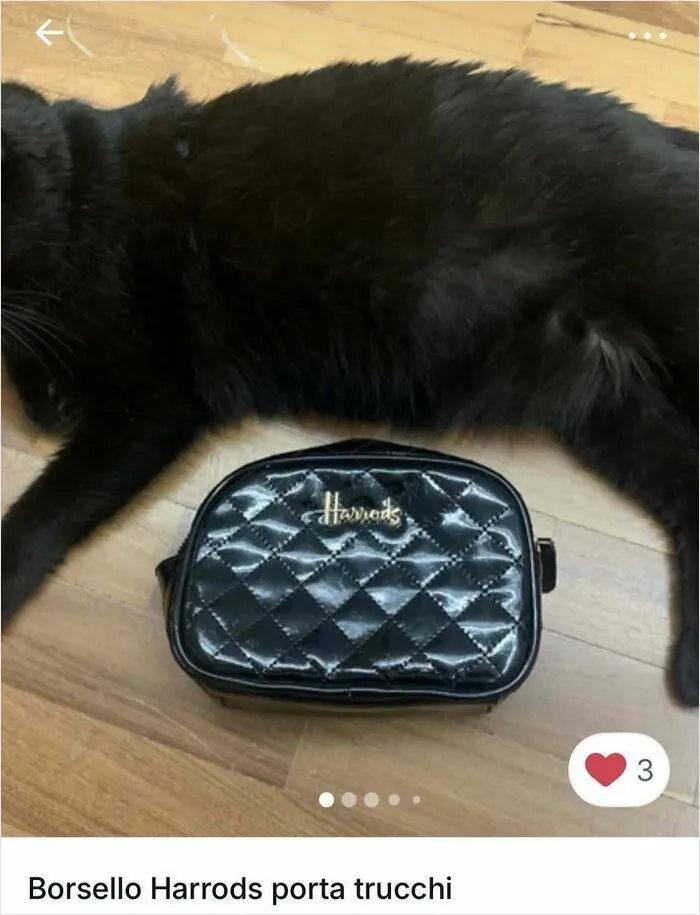 100 Hilarious Cat Cameos People Caught In Vinted Listings