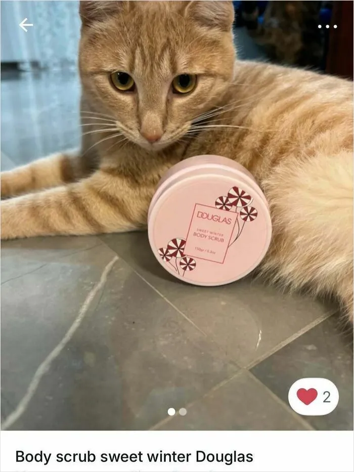 100 Hilarious Cat Cameos People Caught In Vinted Listings