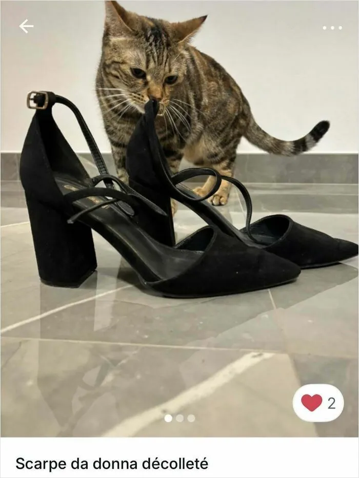 100 Hilarious Cat Cameos People Caught In Vinted Listings