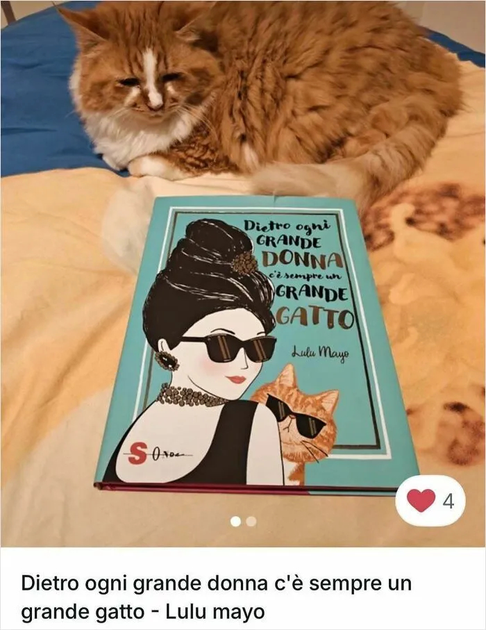 100 Hilarious Cat Cameos People Caught In Vinted Listings