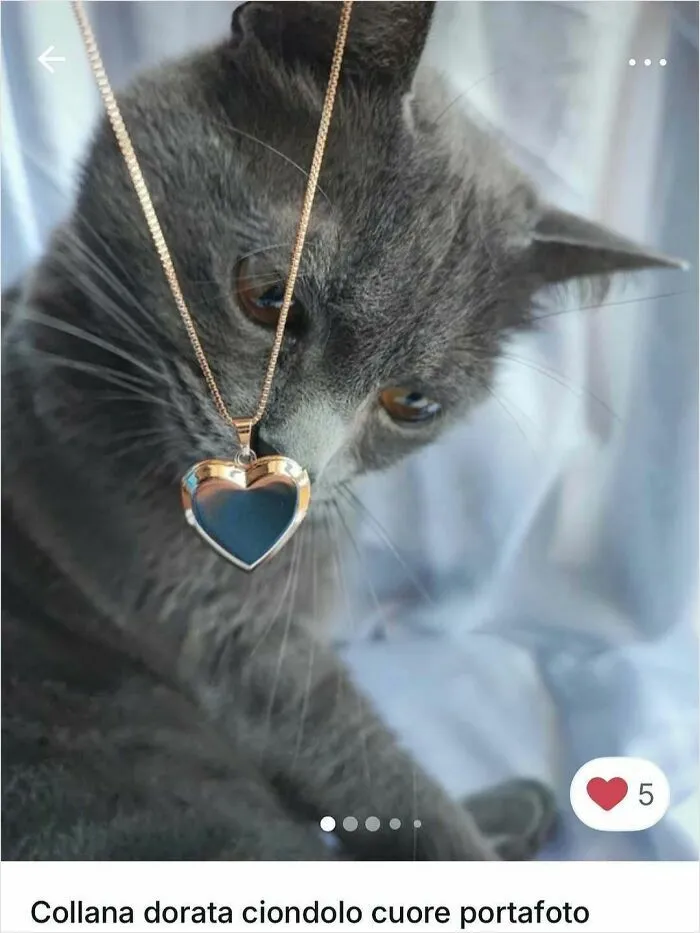 100 Hilarious Cat Cameos People Caught In Vinted Listings