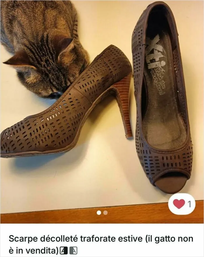Cat sniffing brown perforated high heel shoes in a playful scene featuring cats in Vinted ads.