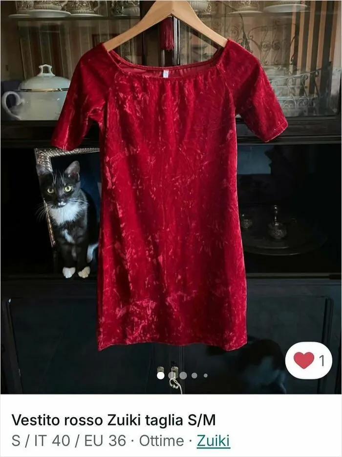 Black and white cat peeking from behind a red dress hanging in vintage style Vinted ad with cats stealing the spotlight