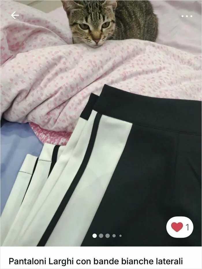 Tabby cat resting on a pink blanket next to black and white side-striped pants in a Vinted ad spotlighting cats.