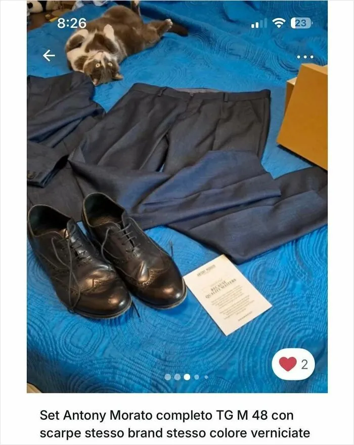 100 Hilarious Cat Cameos People Caught In Vinted Listings